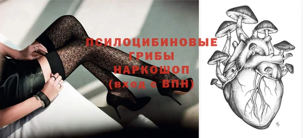 ПСИЛОЦИБИНОВЫЕ ГРИБЫ Аркадак