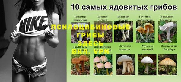 гидропоника Арсеньев